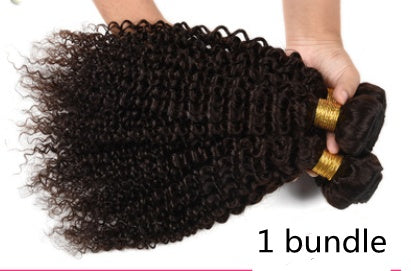 Brazil hair curtain wig kinky curly wave human hair